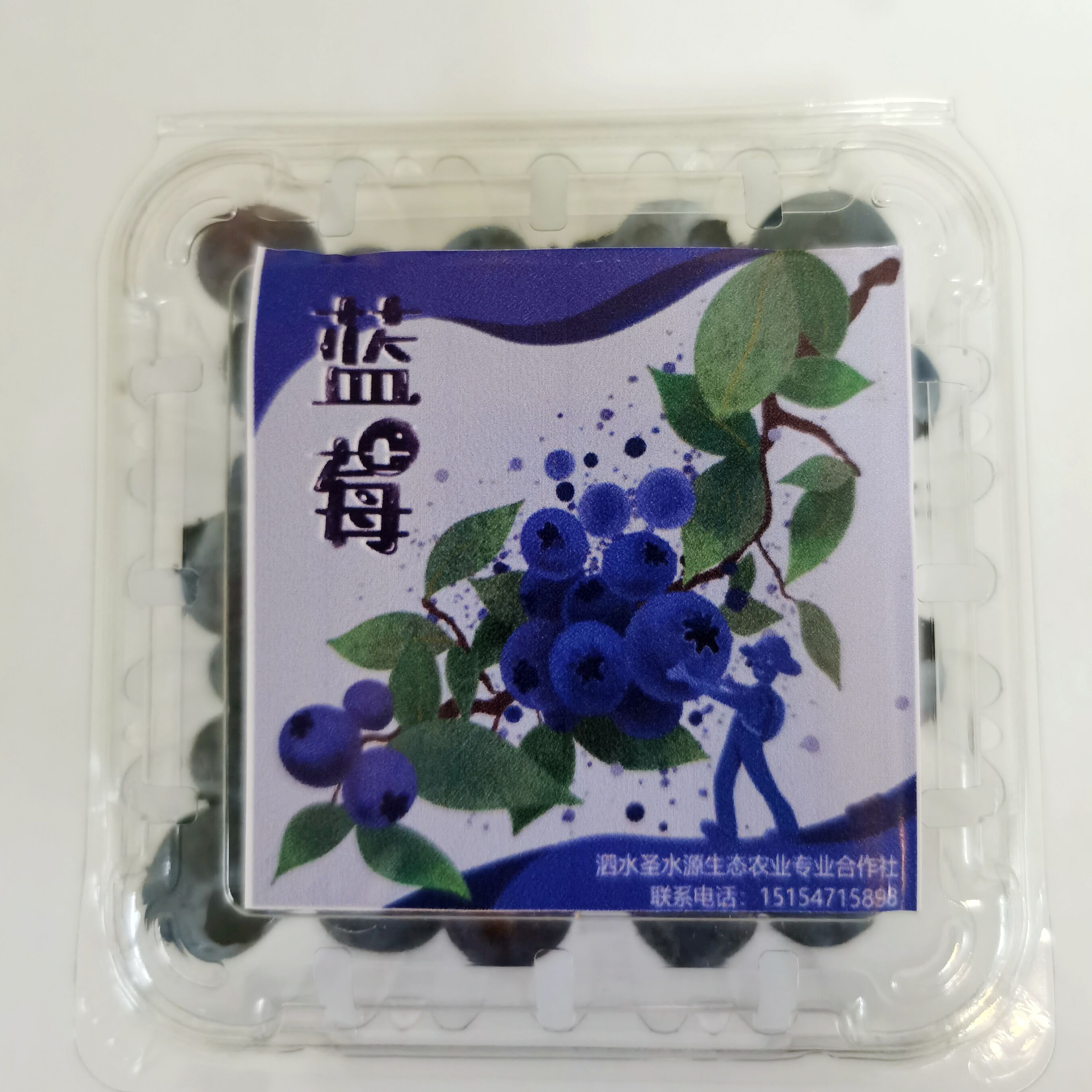 yl6776永利集团官网