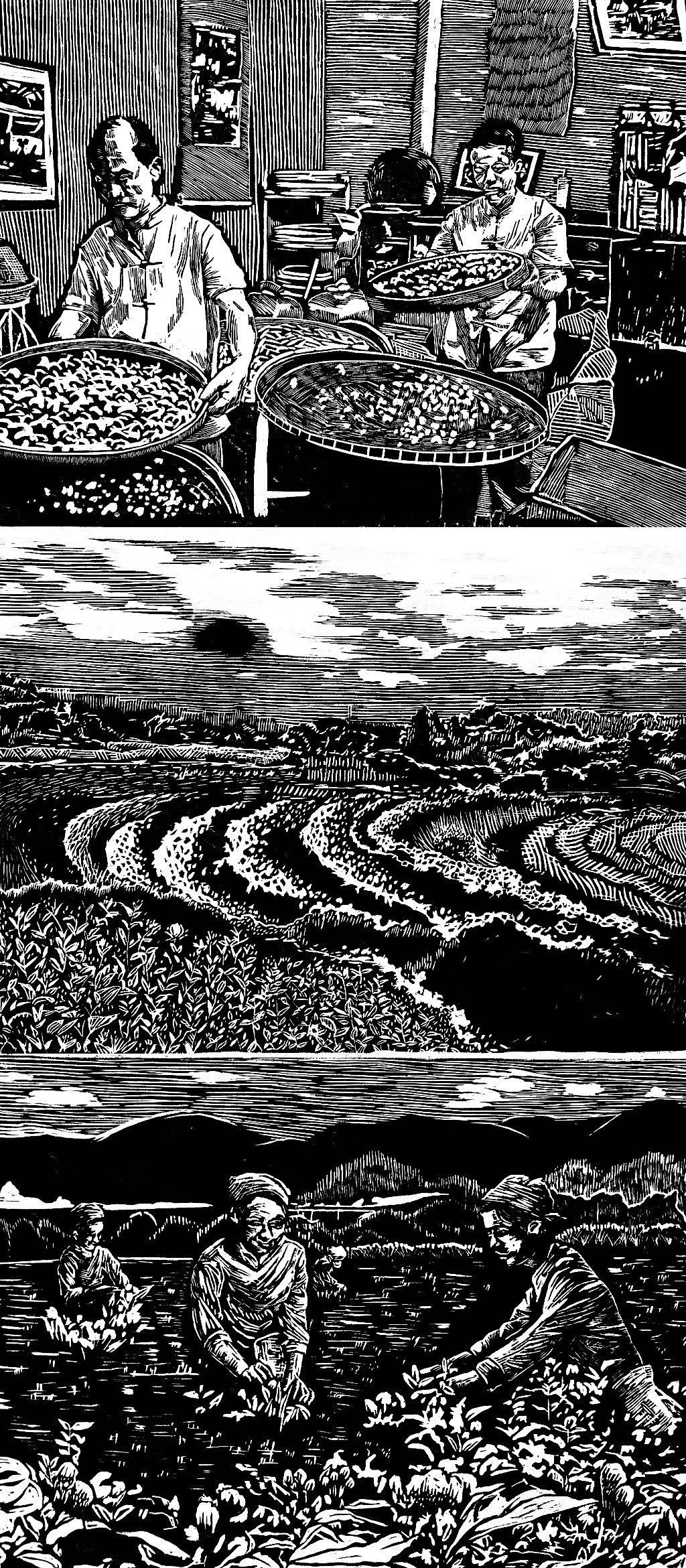 yl6776永利集团官网